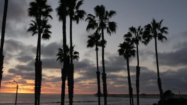 Palms and twilight sky in California USA. Tropical ocean beach sunset atmosphere. Los Angeles vibes.