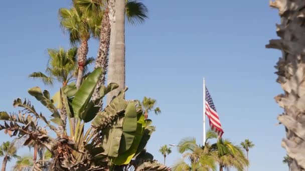 Palms and american flag, Los Angeles, California USA. Summertime aesthetic of Santa Monica and Venice Beach. Star-Spangled Banner, Stars and Stripes. Atmosphere of patriotism in Hollywood. Old Glory — Stock Video