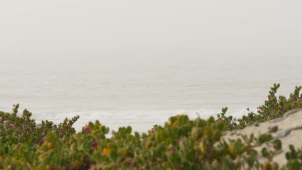 Playa nublada Sandy California USA. Costa del océano Pacífico, densa niebla en la orilla del mar. Ondas en brume haze. — Vídeo de stock