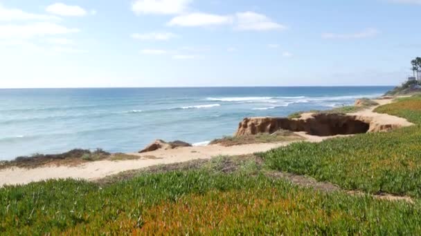 Zeegezicht punt, Californië kust Verenigde Staten. Oceaanvloed, blauwe zeegolf kijkt uit. IJsplant sappig. — Stockvideo
