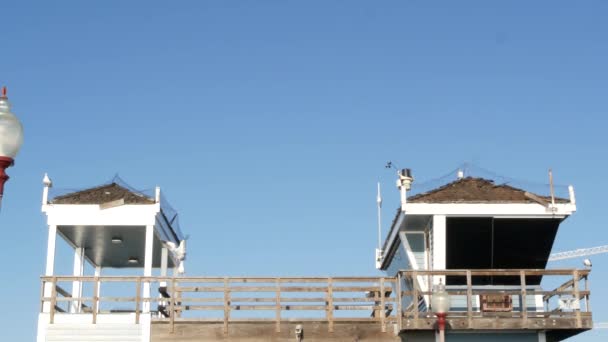 Möwenvogel am Rettungsschwimmturm auf einem Pier in Kalifornien, USA. Rettungswache Wachturm Hütte und blauer Himmel. — Stockvideo