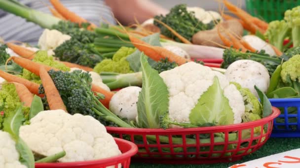 Verduras ecológicas en mostrador, productos locales frescos cultivados en el establo. Mercado de alimentos para agricultores en Estados Unidos. — Vídeo de stock