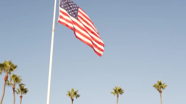 Palmer och amerikansk flagga, Los Angeles, Kalifornien USA. Sommarestetik i Santa Monica och Venice Beach. Star-Spangled Banner, stjärnor och ränder. Atmosfär för patriotism i Hollywood. Gammal härlighet — Stockvideo