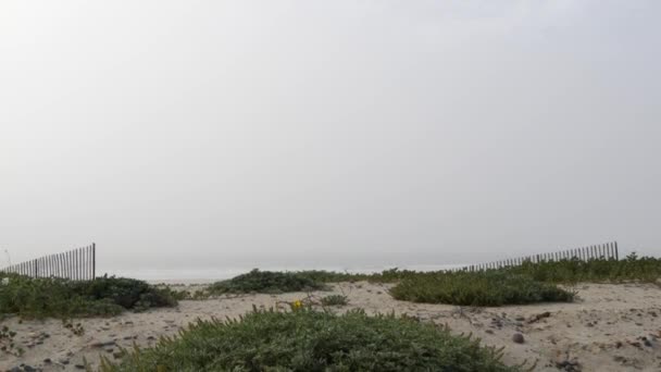 Дерев'яний паркан, піщаний туманний пляж, Каліфорнія США. Тихоокеанське узбережжя океану, туман туман туман на березі моря. — стокове відео