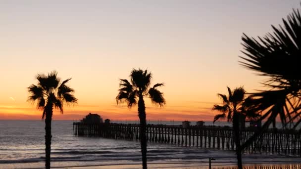 Palms and twilight sky in California USA. Tropical ocean beach sunset atmosphere. Los Angeles vibes. — Stock Video