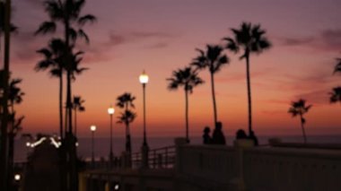 Odaklanamayan palmiyeler, alacakaranlık gökyüzü, Kaliforniya ABD. Tropik plaj günbatımı atmosferi. Los Angeles titreşimleri.