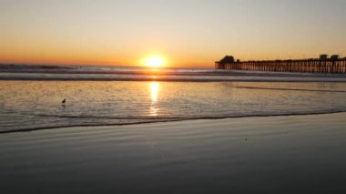 Günbatımında iskele silueti, California USA, Oceanside. Okyanus tropik plajı. Dalganın yanındaki martı kuşu
