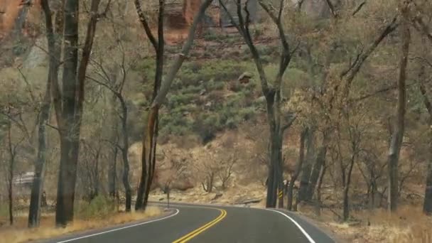 Viagem de carro, dirigindo automóvel em Zion Canyon, Utah, EUA. Carona viajando na América, viagem de outono. Falésias íngremes alienígenas vermelhas, chuva e árvores nuas. Tempo nebuloso e atmosfera de queda calma. Vista de carro — Vídeo de Stock
