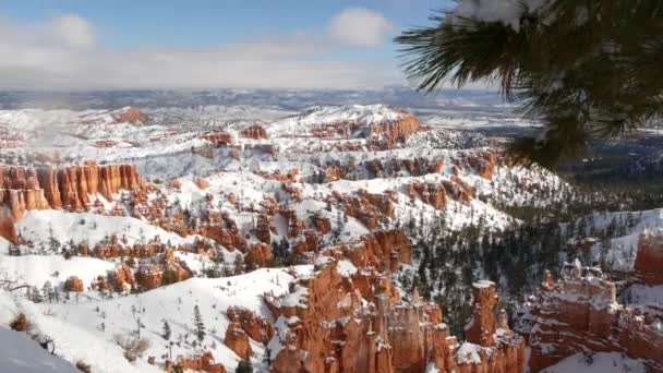 Bryce Canyon in winter, snow in Utah, USA. Hoodoos in amphitheater, eroded relief, panoramic vista point. Unique orange formation. Red sandstone, coniferous pine or fir tree. Eco tourism in America — Stock Video