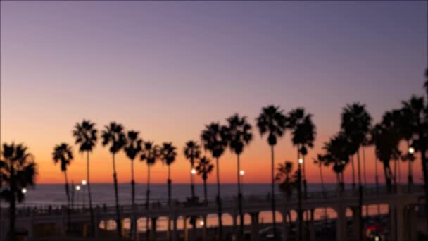 Palmeras desenfocadas, cielo crepuscular, California, EE.UU. Ambiente de atardecer en la playa tropical. Los Ángeles vibraciones. — Vídeos de Stock