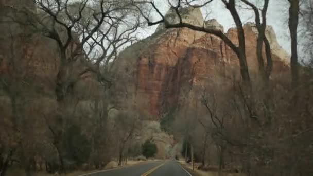Road trip, driving auto in Zion Canyon, Utah, USA. Hitchhiking traveling in America, autumn journey. Red alien steep cliffs, rain and bare trees. Foggy weather and calm fall atmosphere. View from car — Stock Video