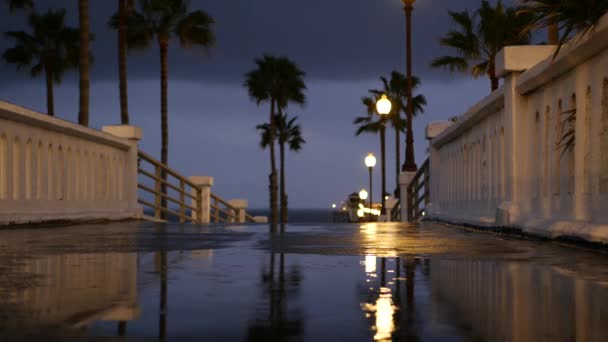 Σταγόνες βροχής, βράδυ στο Oceanside Καλιφόρνια ΗΠΑ. Πιέρ, παλάμες στο σούρουπο του λυκόφωτος. Αντανάκλαση του φωτός. — Αρχείο Βίντεο