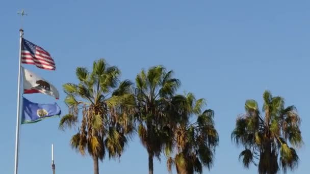 Palmiyeler ve Amerikan bayrağı, Los Angeles, Kaliforniya ABD. Santa Monica ve Venice Sahili 'nin yaz estetiği. Star Spangled Banner, Stars and Stripes. Hollywood 'da vatanseverliğin atmosferi. Eski Zafer — Stok video