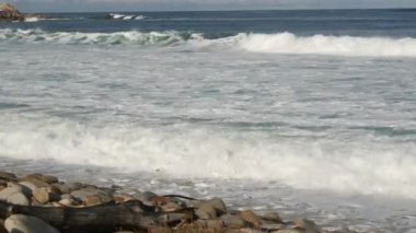 Okyanus dalgaları ve kayalar, Monterey, Kuzey Kaliforniya, ABD. Big Sur 'a 17 mil mesafede, Pasifik Sahil Otobanı' ndaki sahil golf turistik tesisi. Çakıl Sahili 'nin su ve deniz esintisi. Yolculuk