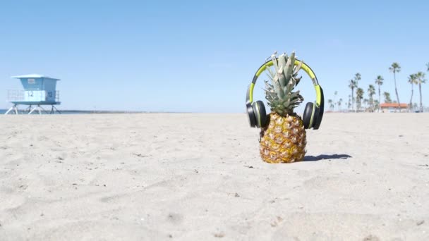 Piña en auriculares, costa de playa de arena oceánica. Fruta exótica tropical de verano. Ananas en la orilla. — Vídeos de Stock