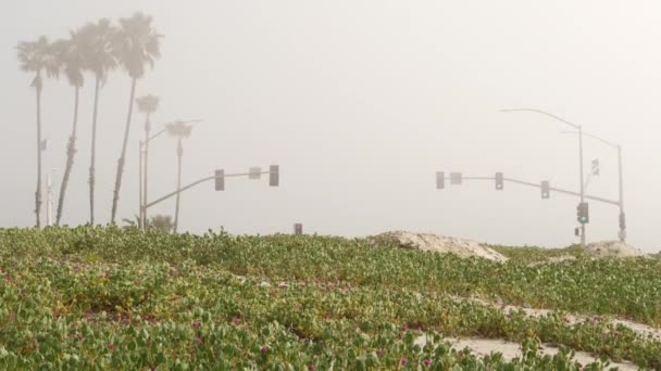 Közlekedési szemafor, autópálya út ködös tengerparton, Kalifornia USA. Köd a tenger partján óceán partján. — Stock videók