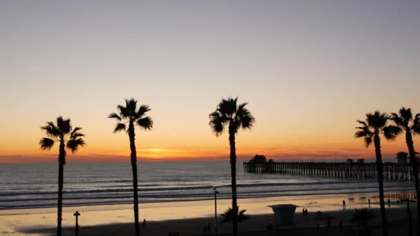 Palmen en schemering hemel in Californië USA. Tropische oceaan strand zonsondergang sfeer. Los Angeles vibes. — Stockvideo