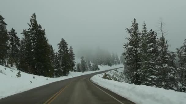 Nieve y niebla en el bosque invernal, conducción de automóviles, viaje por carretera en invierno Utah EE.UU.. Pinos de coníferas, misteriosa vista a través del parabrisas del coche. Bosque Misty Bryce Canyon. Ambiente tranquilo, neblina lechosa en madera — Vídeo de stock