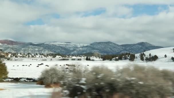 Viaje por carretera desde Zion a Bryce Canyon, conduciendo auto en Utah. Autoestop viajando por América, Ruta 89 al Bosque Dixie. Viaje local de invierno, ambiente tranquilo y montañas de nieve. Vista desde el coche — Vídeos de Stock