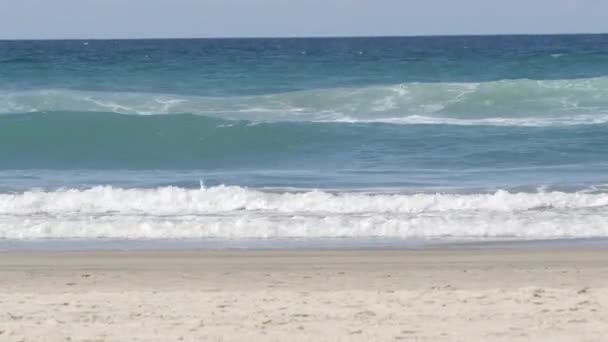 Océano Pacífico grandes olas salpicaduras, costa de California paisaje marino EE.UU.. Textura de la superficie del agua y espuma marina — Vídeo de stock