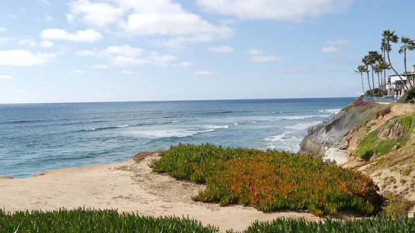Meerblick, kalifornische Küste USA. Meeresgezeiten, blaue Meereswellen überblicken. Eispflanze Sukkulente. — Stockfoto