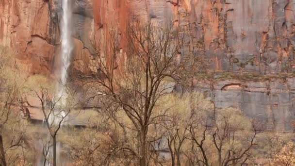 Rock and waterfall in Zion national park, otoño en Utah, EE.UU. Día lluvioso en cañón rojo, terracota empinada acantilado desnudo. Clima brumoso y ambiente tranquilo de otoño. Ecoturismo en Estados Unidos de América — Vídeo de stock