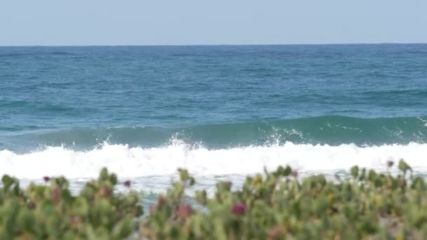 Grandes ondas de maré azul na praia, Califórnia litoral EUA. Oceano Pacífico costa, vegetação na costa do mar. — Vídeo de Stock