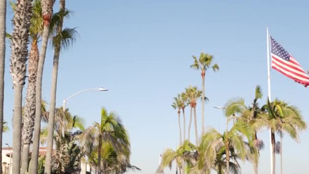 Palmer och amerikansk flagga, Los Angeles, Kalifornien USA. Sommarestetik i Santa Monica och Venice Beach. Star-Spangled Banner, stjärnor och ränder. Atmosfär för patriotism i Hollywood. Gammal härlighet — Stockvideo