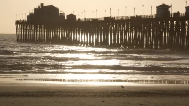 Силует пірса на заході сонця, Каліфорнія, США, Океансайд. Океанський тропічний пляж. Чайка біля хвилі. — стокове відео