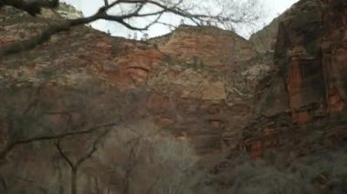 Yolculuk, Zion Canyon, Utah, ABD 'de araba kullanmak. Amerika 'da otostop çekmek, sonbahar seyahati. Kızıl uzaylı sarp kayalıkları, yağmur ve çıplak ağaçlar. Sisli hava ve sakin düşüş atmosferi. Arabadan görüntüle