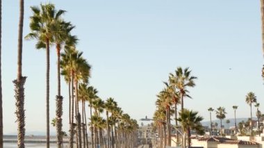 Oceanside, Kaliforniya 'da palmiye ağacı perspektifi Pasifik Okyanusu kıyısındaki tropik sahil beldesi, ABD.