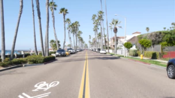 Defocused road with palm trees in California, tropical ocean beach. Los Angeles Hollywood aesthetic. — Stock Video