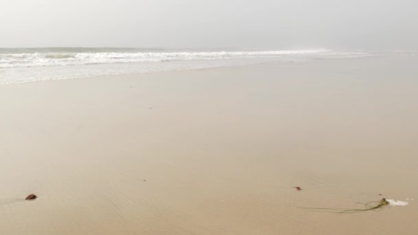 Spiaggia sabbiosa e nebbiosa California USA. Costa dell'oceano Pacifico, fitta nebbia sulla riva del mare. Onde nella foschia di brume. — Video Stock