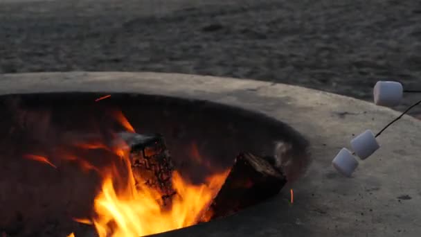 カリフォルニア州のキャンプファイヤーピット。海のビーチでキャンプファイヤー、たき火でトーストマシュマロを焙煎. — ストック動画