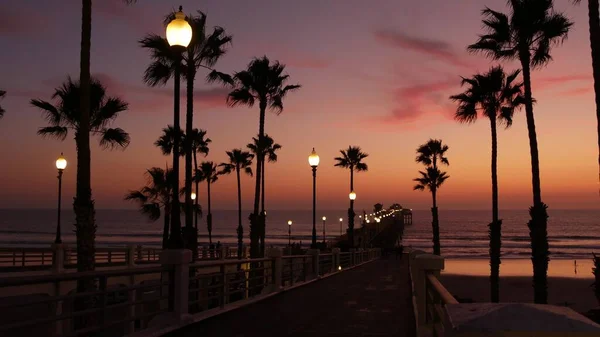 Palmy i zmierzch nieba w Kalifornii USA. Tropikalna, oceaniczna atmosfera zachodu słońca. Wibracje Los Angeles. — Zdjęcie stockowe