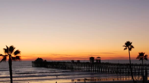 Palmas e céu crepúsculo na Califórnia EUA. Oceano tropical praia pôr-do-sol atmosfera. Vibrações de Los Angeles. — Vídeo de Stock