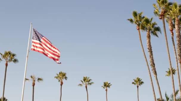 Palmer och amerikansk flagga, Los Angeles, Kalifornien USA. Sommarestetik i Santa Monica och Venice Beach. Star-Spangled Banner, stjärnor och ränder. Atmosfär för patriotism i Hollywood. Gammal härlighet — Stockvideo