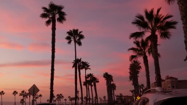 カリフォルニア州のヤシと夕暮れの空米国。熱帯の海のビーチ日没の雰囲気。ロサンゼルスの波. — ストック動画