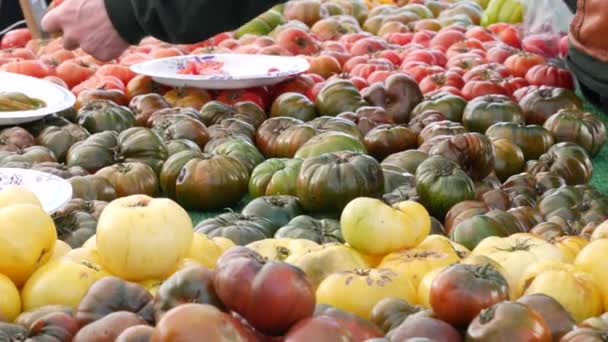 Verduras ecológicas en mostrador, productos locales frescos cultivados en el establo. Mercado de alimentos para agricultores en Estados Unidos. — Vídeo de stock