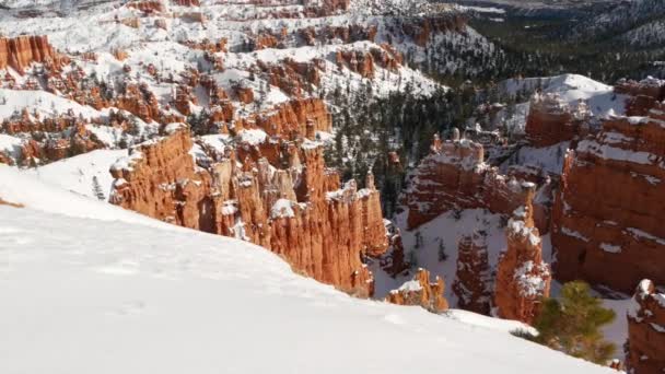 Bryce Canyon en hiver, neige dans l'Utah, USA. Hoodoos en amphithéâtre, relief érodé, point de vue panoramique. Formation orange unique. Grès rouge, pin résineux ou sapin. Eco tourisme en Amérique — Video