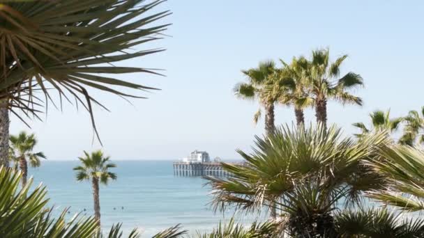 太平洋海滩棕榈树和码头美国加利福尼亚州洛杉矶附近的热带海滨度假胜地. — 图库视频影像
