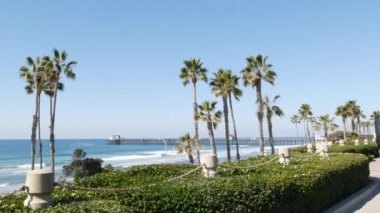 Pasifik Okyanusu sahili, palmiye ağacı ve iskele. Los Angeles yakınlarındaki tropik rıhtım beldesi..