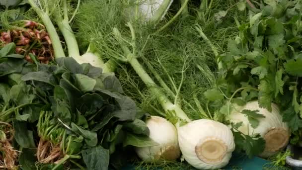 Verduras ecológicas en mostrador, productos locales frescos cultivados en el establo. Mercado de alimentos para agricultores en Estados Unidos. — Vídeo de stock