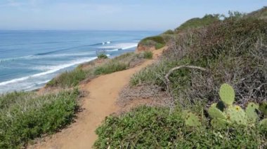 Seascape Vista Point, Del Mar Torrey Pines, Kaliforniya kıyısı ABD. Okyanus gelgiti, mavi deniz dalgası