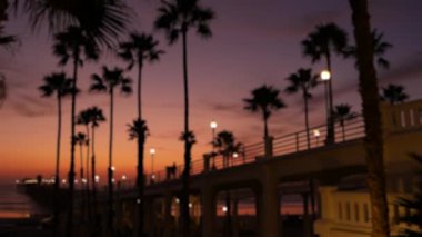 Odaklanamayan palmiyeler, alacakaranlık gökyüzü, Kaliforniya ABD. Tropik plaj günbatımı atmosferi. Los Angeles titreşimleri.