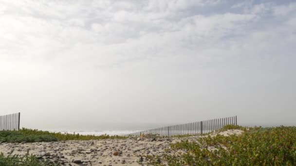 Деревянный забор, песчаный туманный пляж, Калифорния, США. Тихоокеанское побережье, туман на берегу моря. — стоковое видео