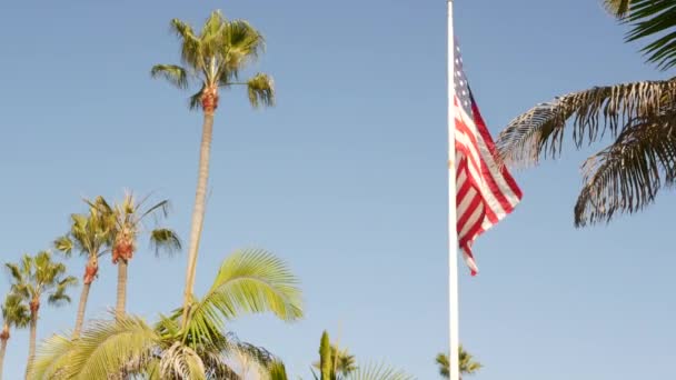 Bendera palms dan american, Los Angeles, California USA. Musim panas estetika Santa Monica dan Venice Beach. Star Spangled Banner, Stars and Stripes (dalam bahasa Inggris). Atmosfer patriotisme di Hollywood. Old Glory — Stok Video