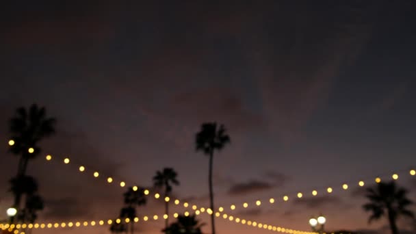 Guirlanda elétrica, palmeiras Califórnia EUA. Pôr-do-sol da praia, céu crepúsculo da costa. Luzes de Los Angeles. — Vídeo de Stock