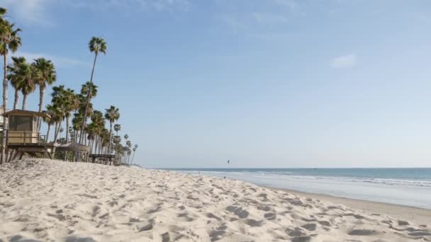Пальмові дерева на білому піщаному пляжі, узбережжі океану в Каліфорнії. Рятувальна вежа, сторожова хатина.. — стокове відео