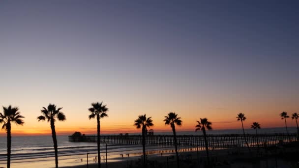 Palmy i zmierzch nieba w Kalifornii USA. Tropikalna, oceaniczna atmosfera zachodu słońca. Wibracje Los Angeles. — Wideo stockowe